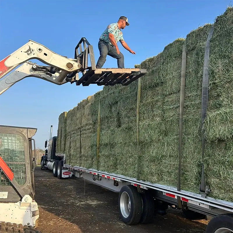 Rockin' Rs Animal Feed Store hay bales on truck